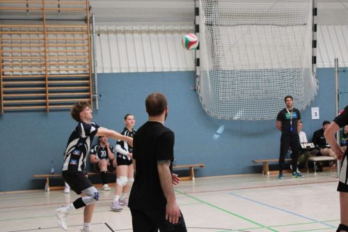 IMG 5698