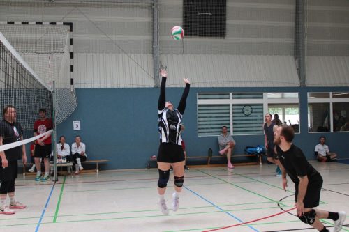 IMG 5846