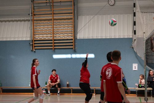 IMG 5893