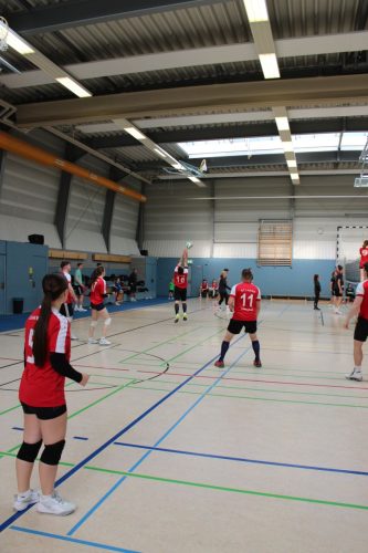IMG 6045