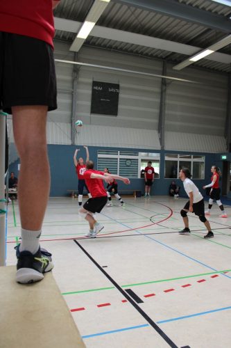 IMG 6065